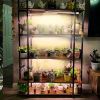 Grow Lights for Indoor Plants