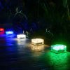 Outdoor Solar Lights for Charming Yard Glow / set of 6