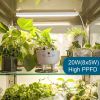 Grow Lights for Indoor Plants