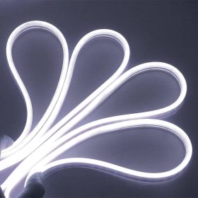 Neon LED Light (Color: White)