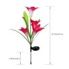 Lily Flower Multi-Color Changing LED Solar Garden Lights